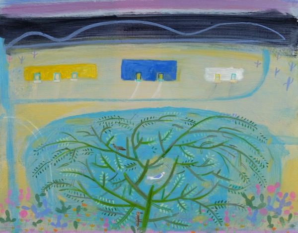 The Palo Verde Tree